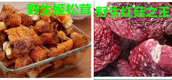 姬松茸 红菇