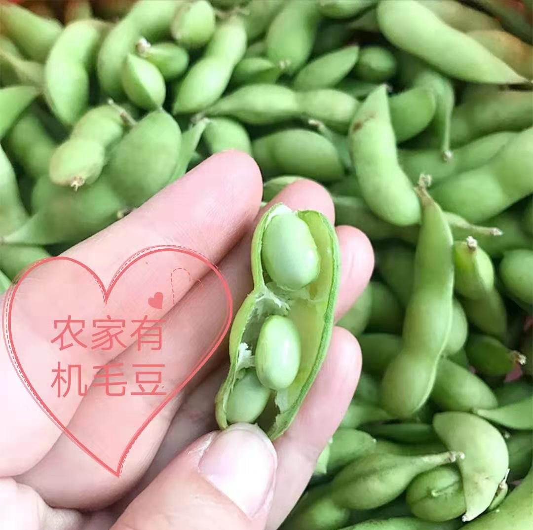 新鲜毛豆