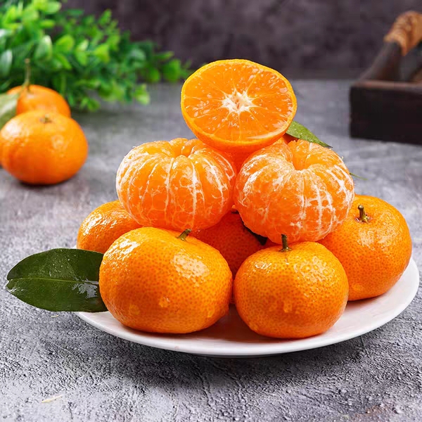 广西沙糖桔橘子