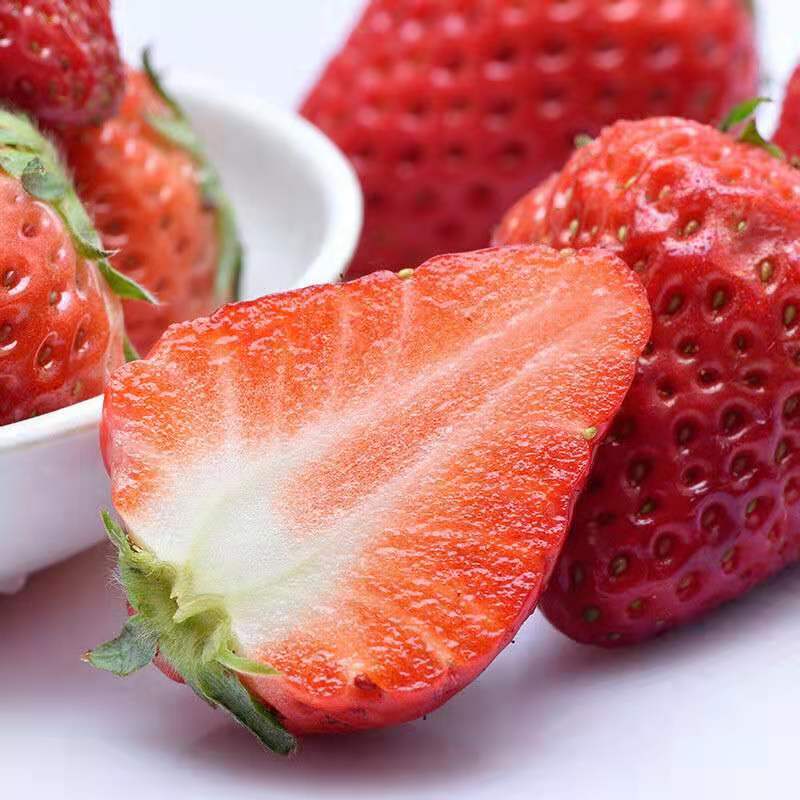 【红颜草莓】现摘水果红颜草莓聚