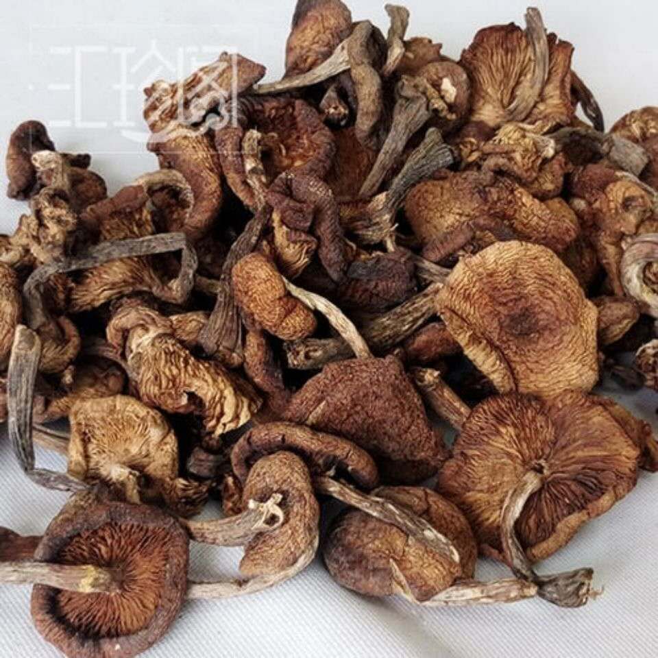 新貨野生榛蘑乾貨東北蘑菇香菇無根撿腳小雞燉蘑菇250g包郵